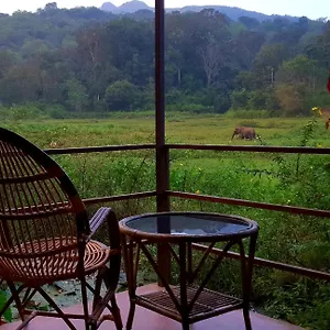 Jungle Retreat , Wayanad India
