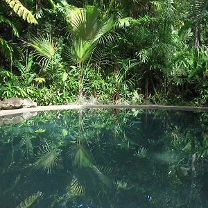 Rainforest Retreat , Daintree Australia